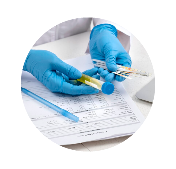 Área de Entrega de Resultados